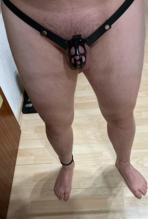 GF suggests to go even smaller and maybe change the color to pink. What do you think? by Hertholt_Beisterkamp