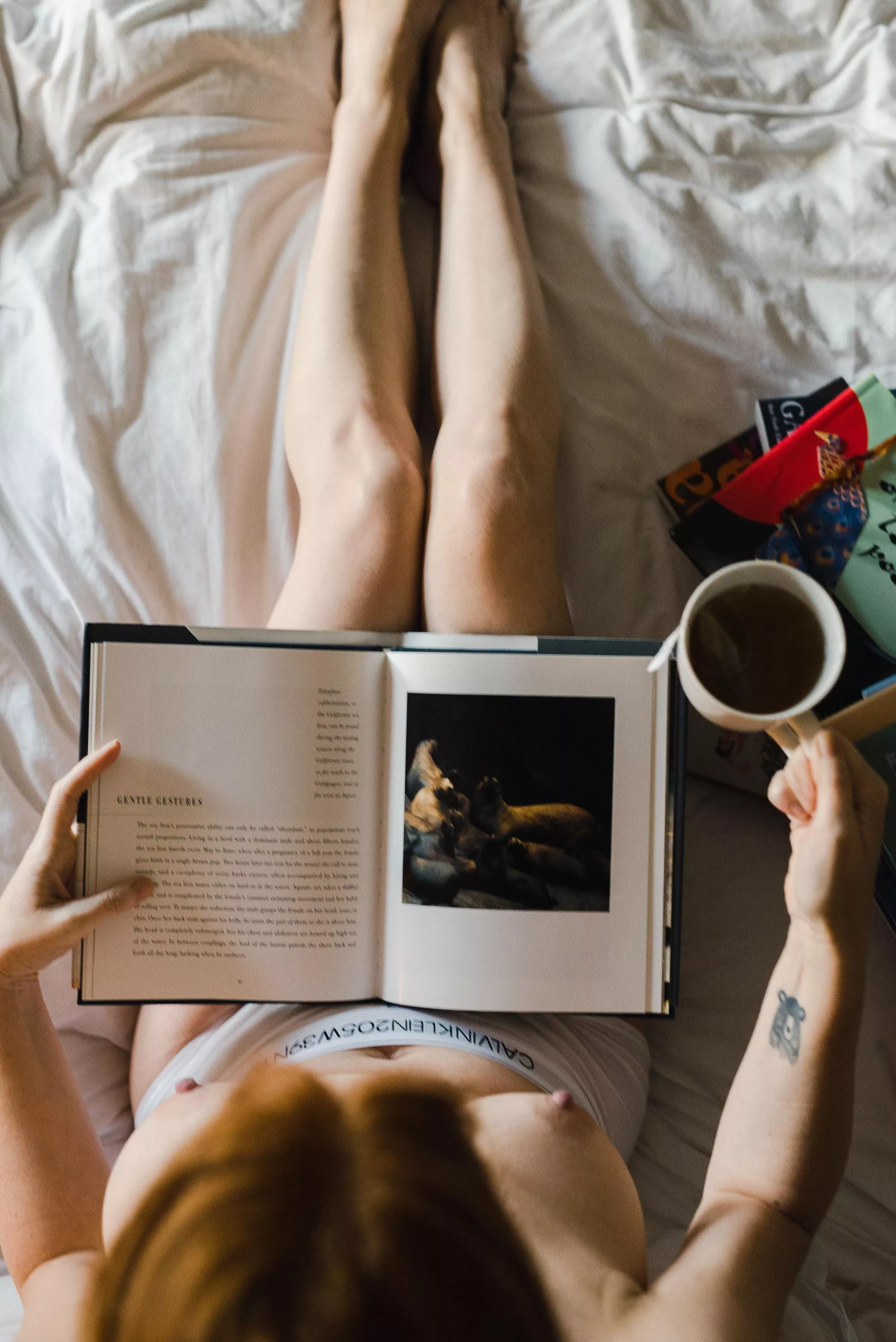 Happy world erotic book day. posted by Thefannypack2_0