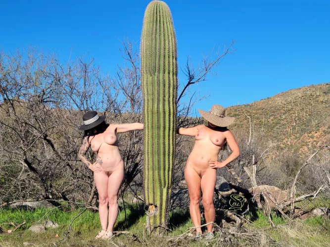 I found her 😄 by BareLeiaRose