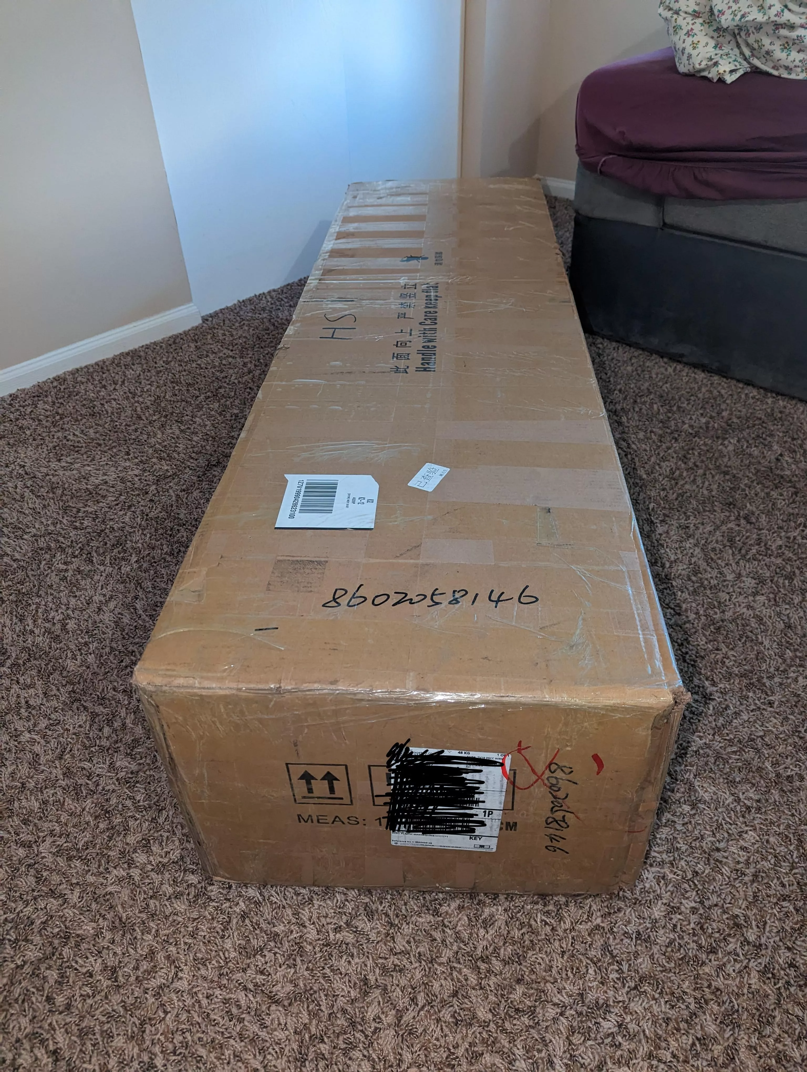 Jill Valentine finally made it home safely posted by Flat-Wrongdoer7769