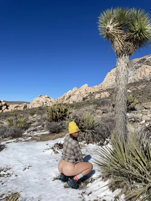 Just a little desert rat 🍑😉 by Nature-nuts