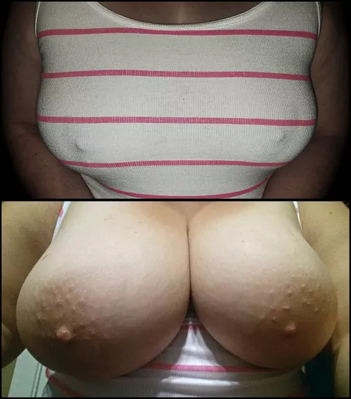 just popped out to say hi by ericafoxx4082