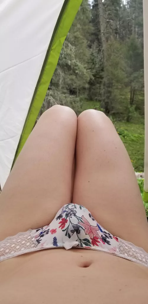 Lets go camping by sometimesjane