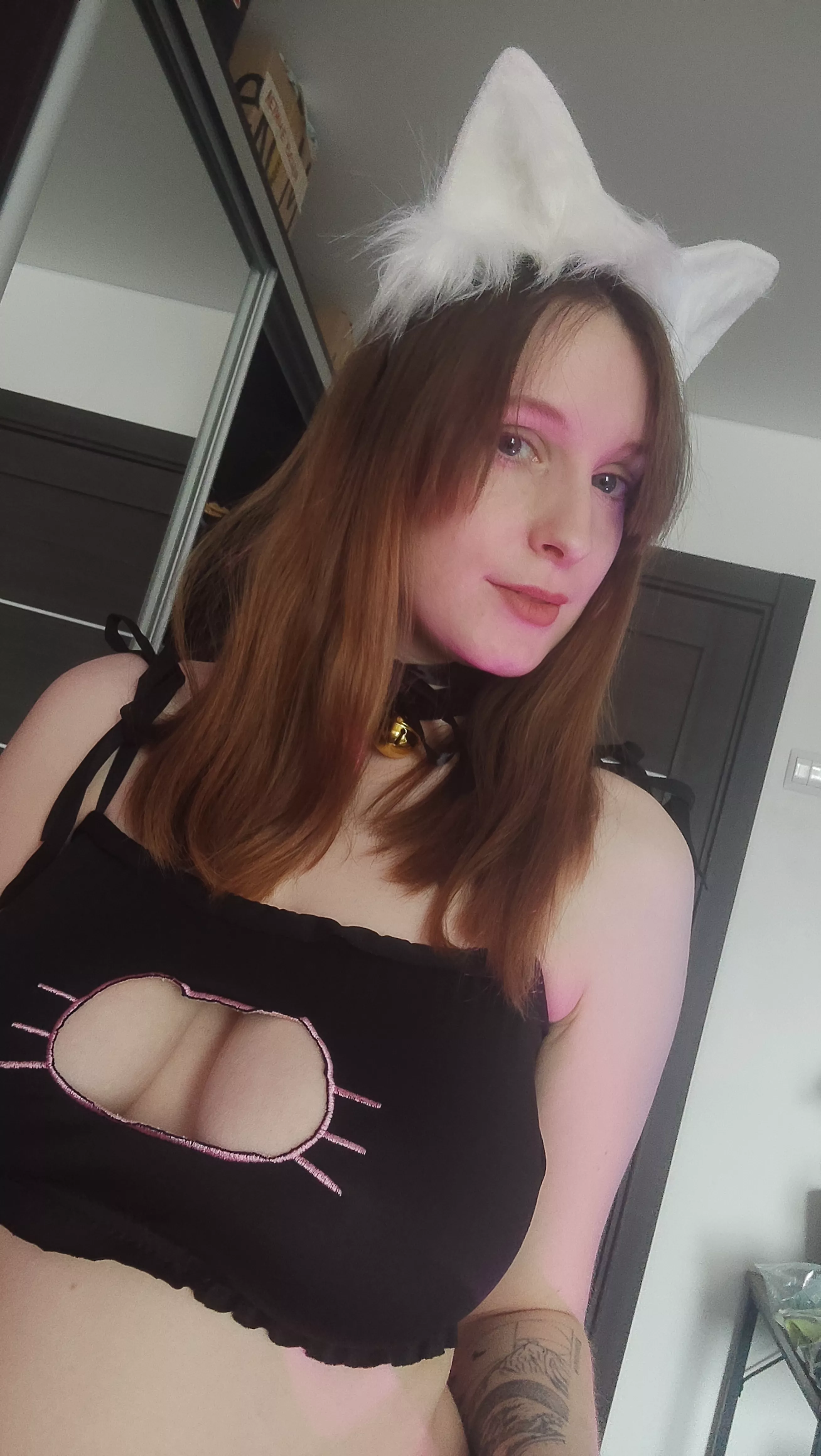 Meow!!! posted by Terefur_off