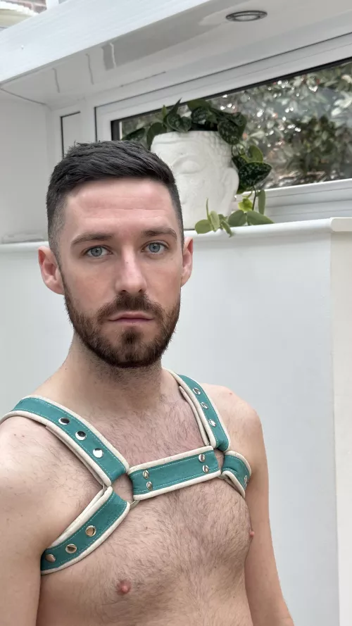 My grandma gave me her sewing machine and I made this harness. What do you guys think? by Kai_Bradford