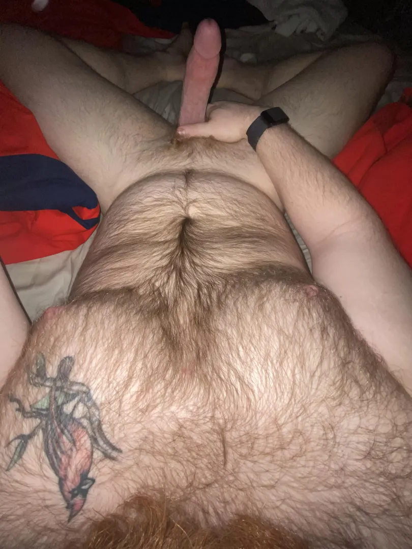 POV I’m ready to be serviced posted by Puzzleheaded_Ad_9423