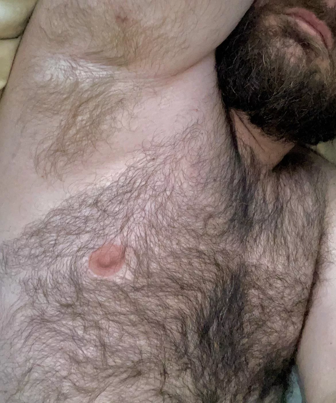 Rub your face on my furr posted by tncurious