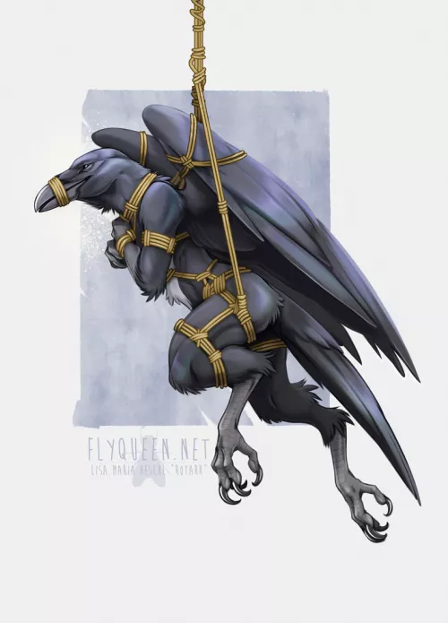 Shibari Raven [Rotarr] by Ok-Yogurtcloset-3178