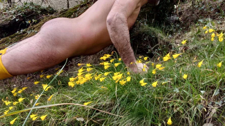 spring flowers in the river by nakedbodyworld2