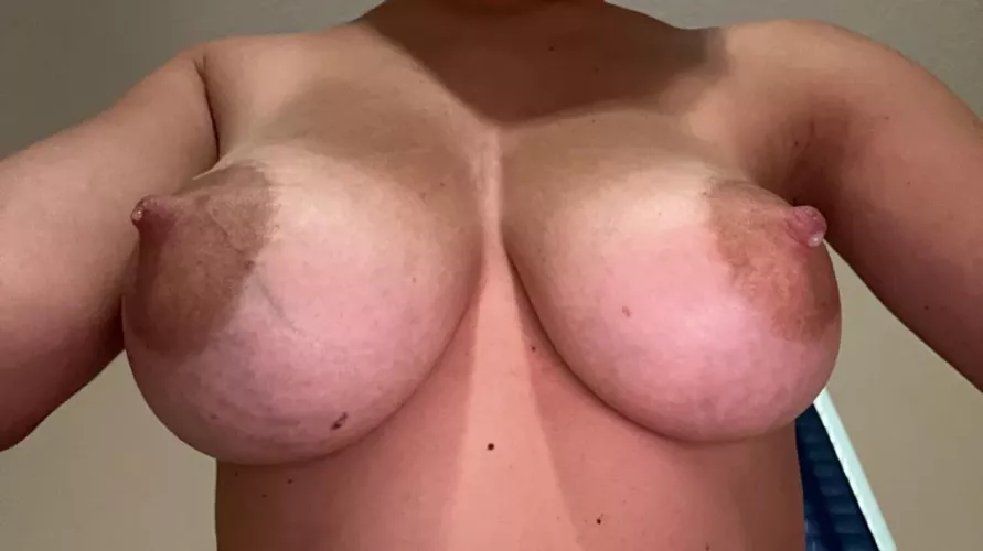 They can’t get much more full than this by Clean_Swordfish5286