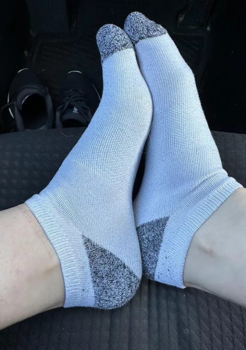 They needed some fresh air by April_Soles