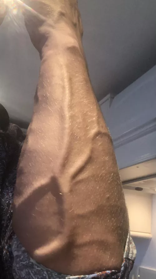 Unsure if this forearm qualifies as porn. Veins popping in my shirt by Sweaty-Application60