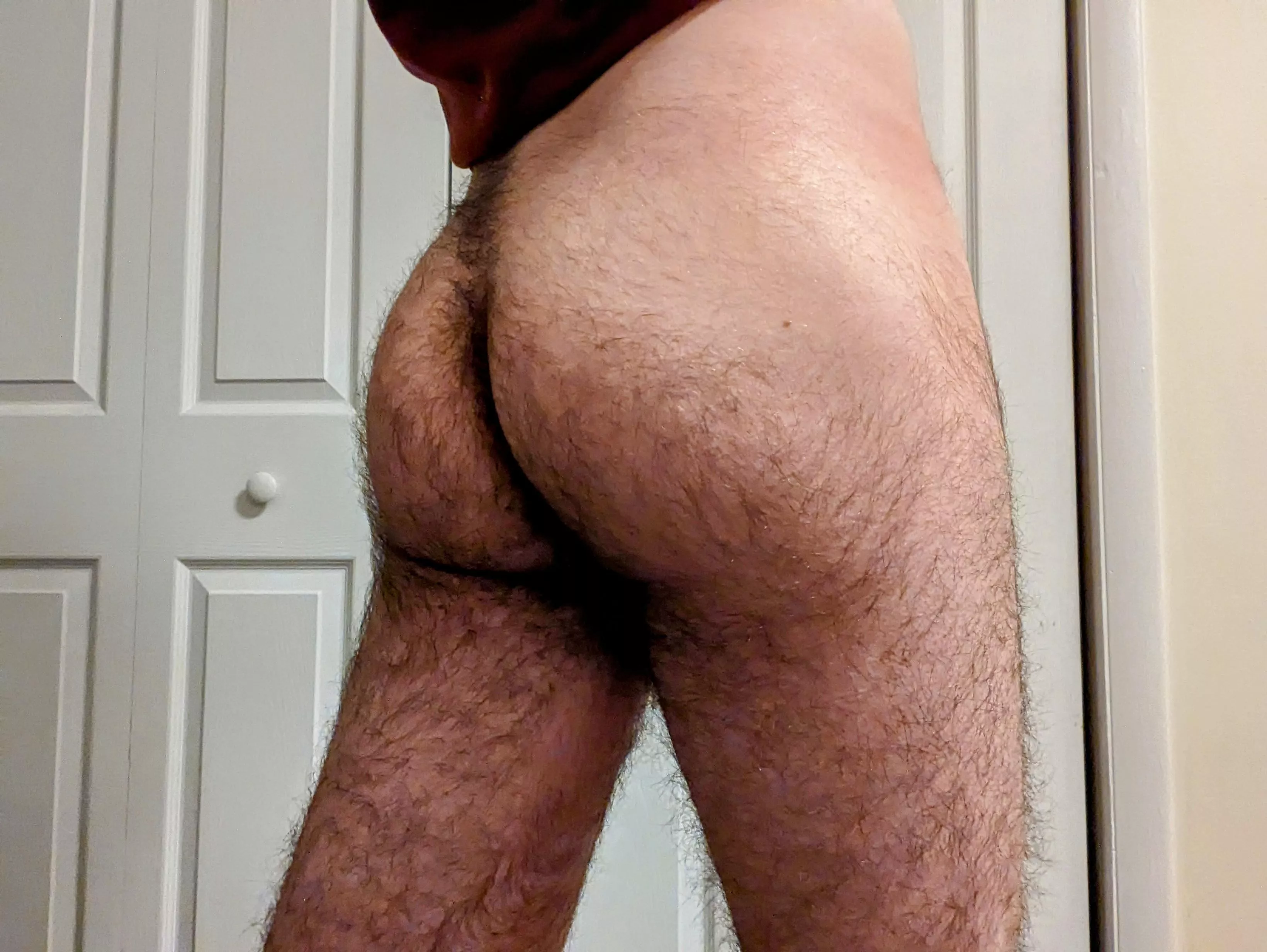 wanna bite? posted by YoungHandsomeBear