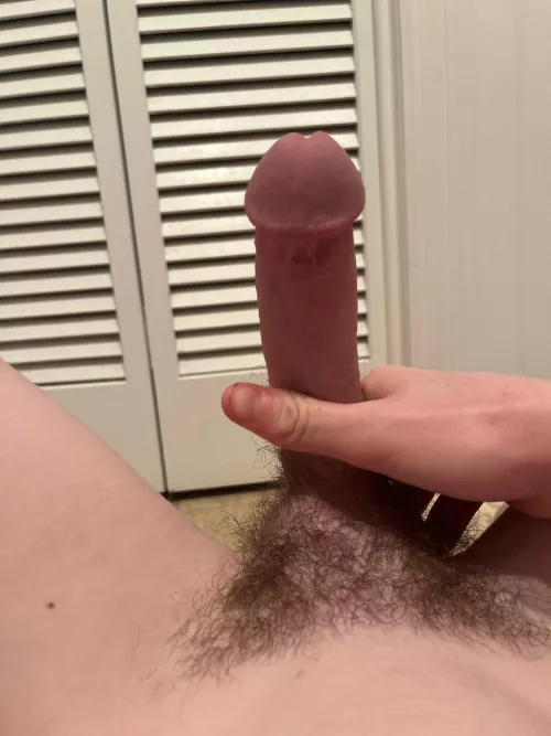 Who wants to culture suck some cum by Last-Teaching5061