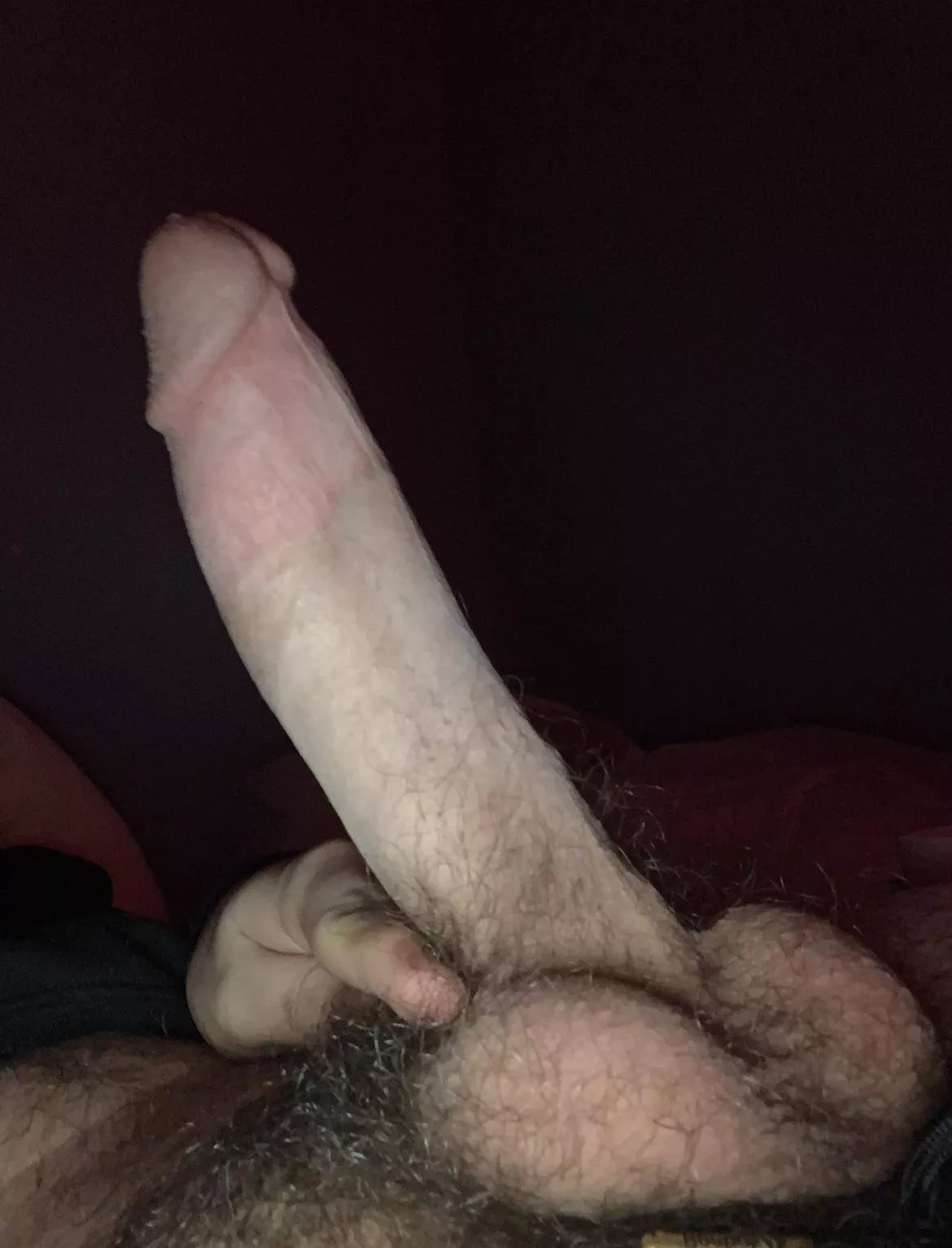 [18] show me your cock and let’s jerk off and make my cock pour cum posted by Frolicock