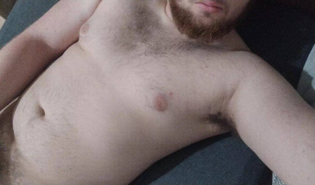 19 bear posted by Sorry_Alarm_7332