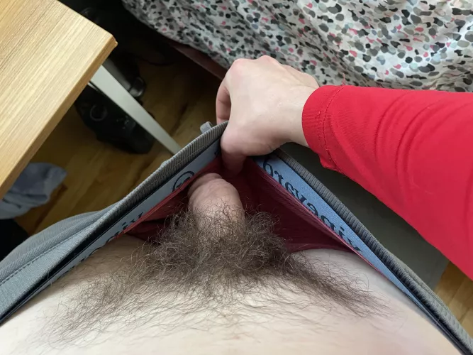 [23] Quick peak at the bush by nickshardcutdick