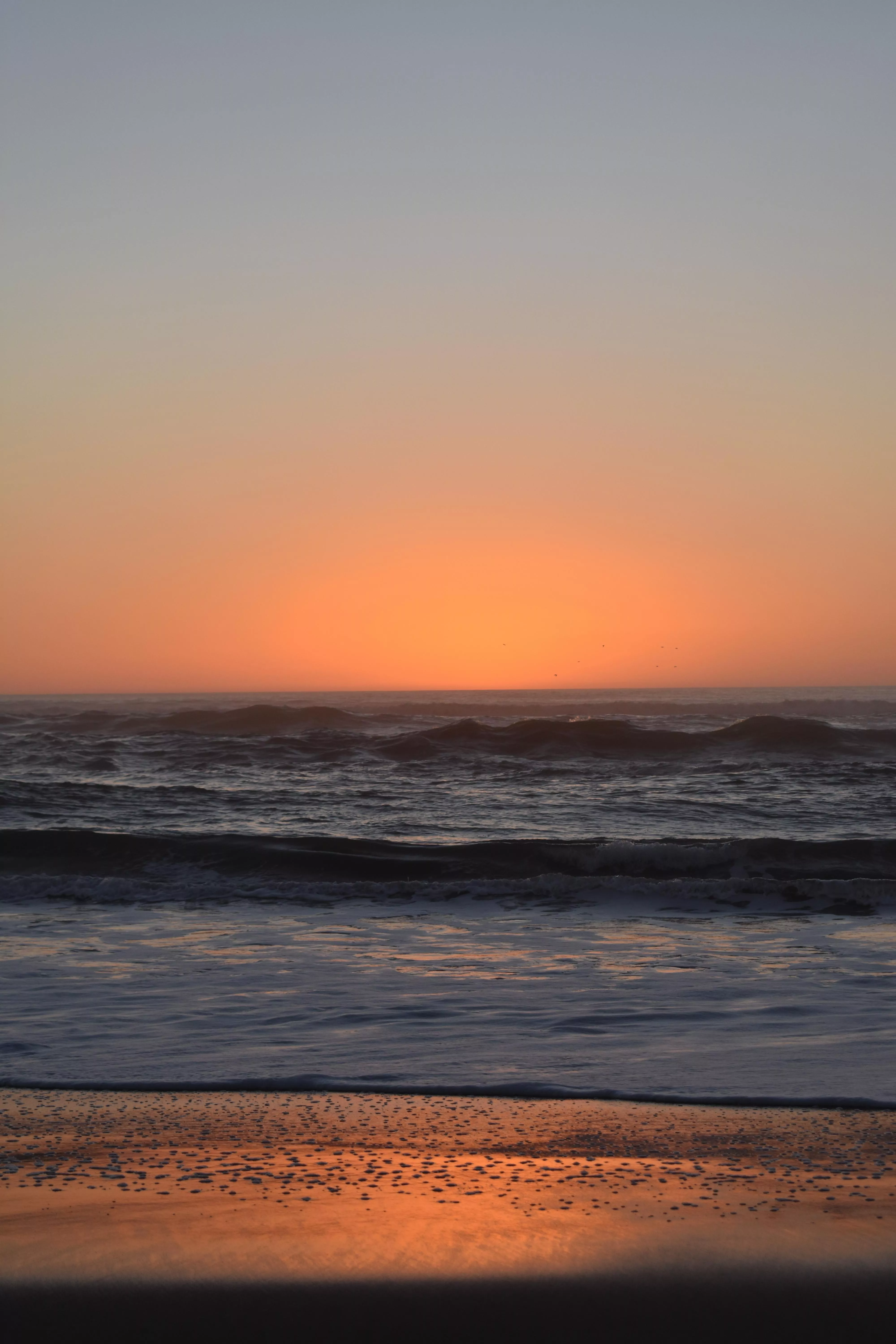 Aptos beach, CA posted by anilsawe