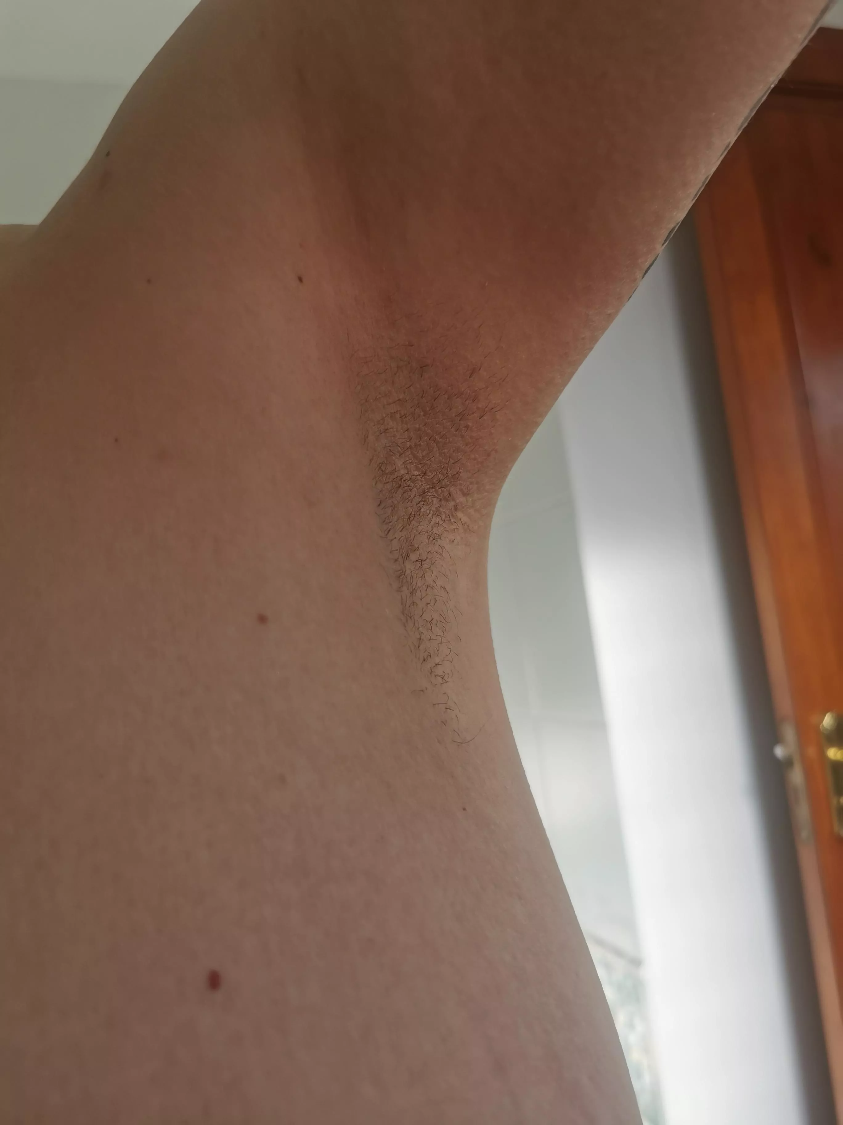 been a while since I showed off my pits 😌 posted by TheScatBratt