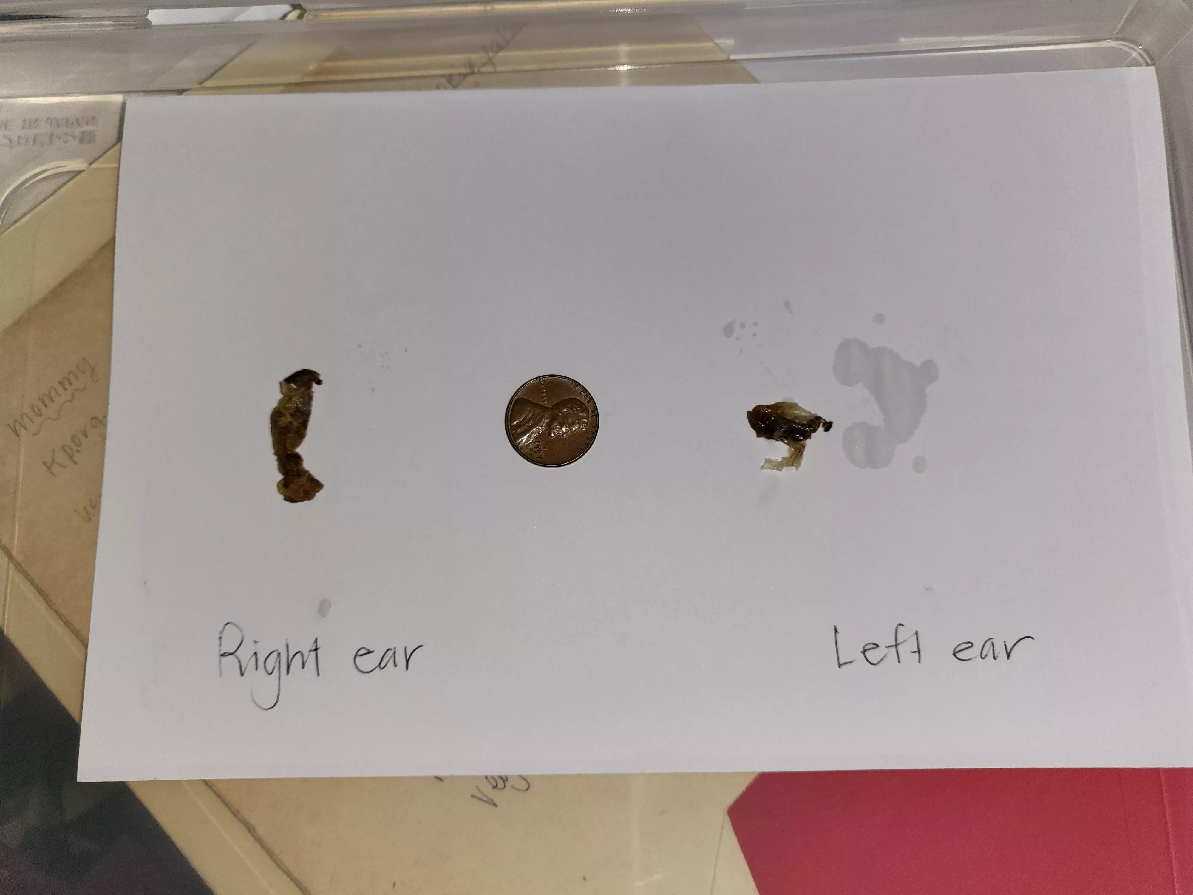 Bought gramma new hearing aids. might not have needed to after inspecting today. hearing doctor recommended upgrades. her entire ear canal was impacted on both sides. we did this at home... posted by BAGP0I