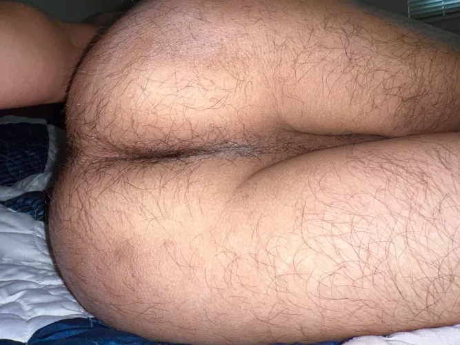 Brown, dry, hairy, cowboy ass🤠🍑😮‍💨💦 by Cancel_Party