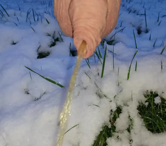 hanging out in the snow 😁 by mr-him-husband