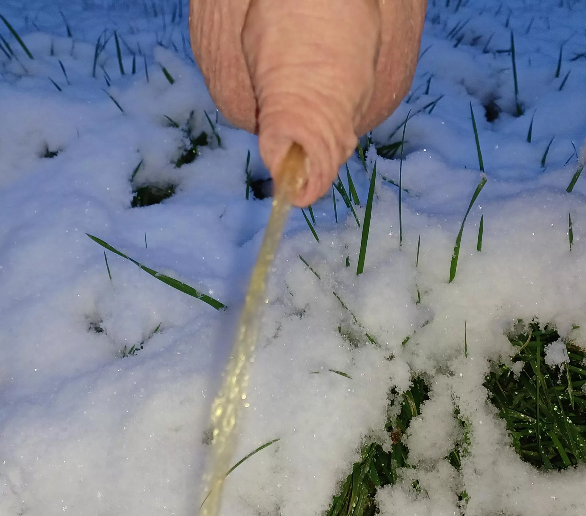 hanging out in the snow 😁 posted by mr-him-husband