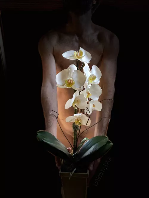 Happy International Women’s Day to all the sexy ladies of ONMWW. 😊 by timmyblur