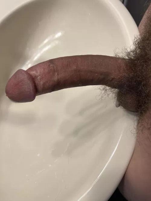 I’m just trynna show this off as much as I can by KingDumDum01