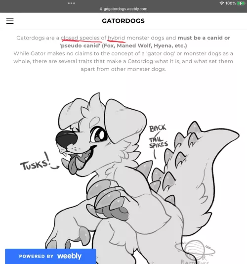 It’s things like these that make me question why I’m still in the fandom. by DividedFox