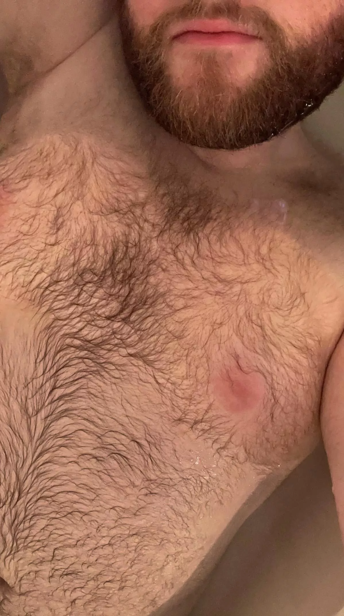 Judy a little hairy 😉 posted by sevellaj