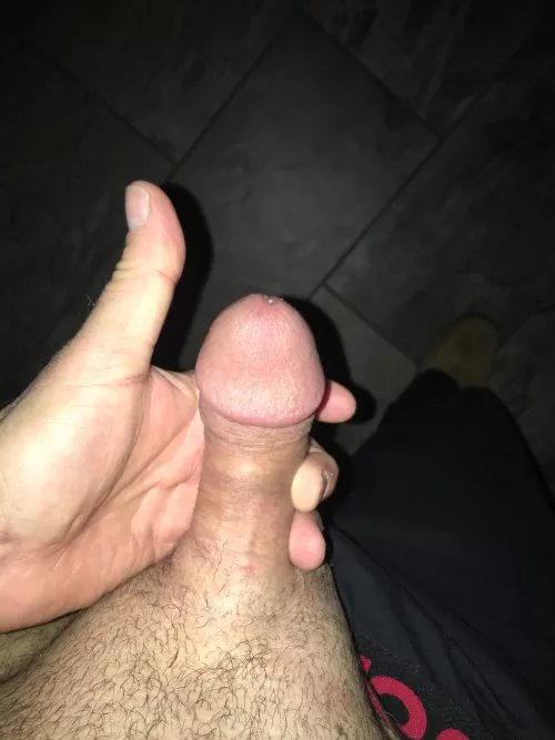 Morning fellas by [deleted]