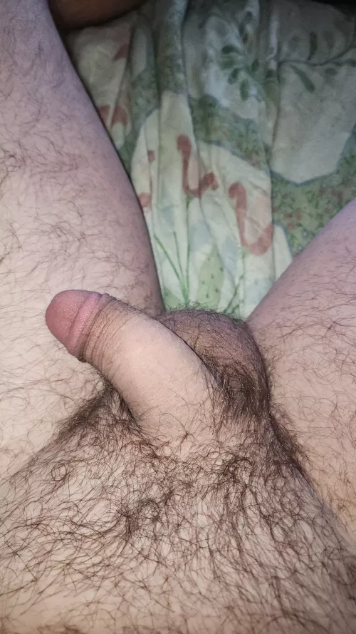 morning softy by curious6922