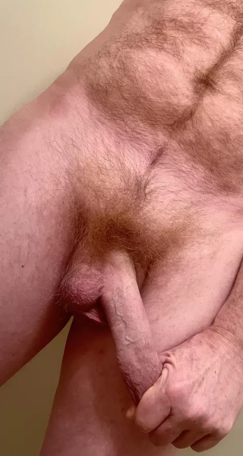 Morning stretch by Red_Tommy