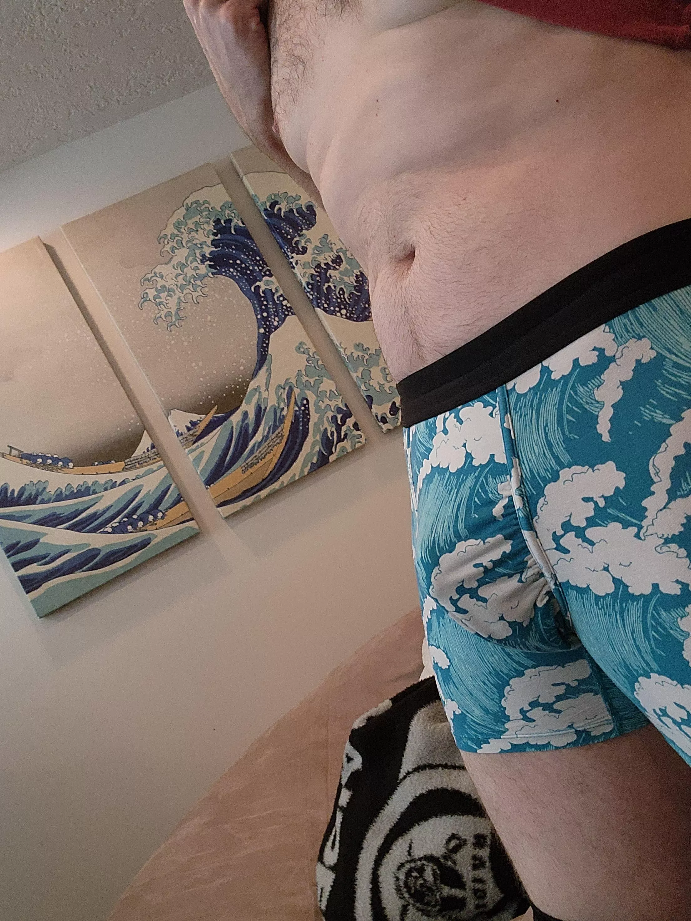 My underwear match the painting in my office! posted by College_Professional