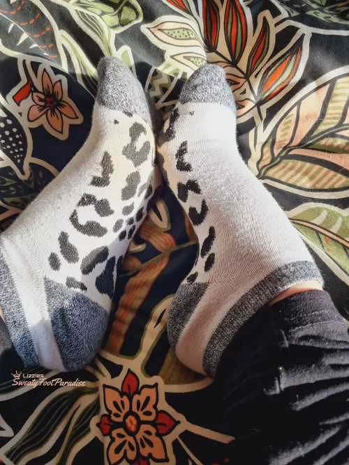 *Place face here* [F] by maggy-88