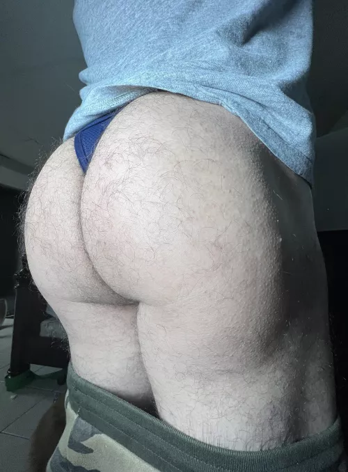 Quick breed before bed? 😏 by FluffyTowels4640