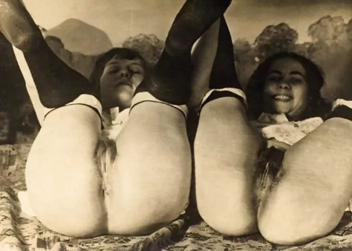 The ready position! by Imaginary-Ebb1932