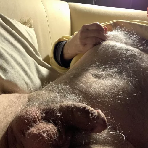 Winter long hairs by average6exactly