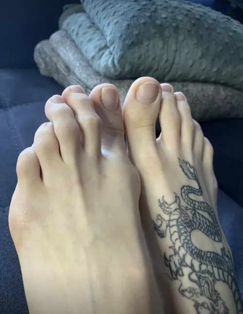 You want them? by According-Plate5353