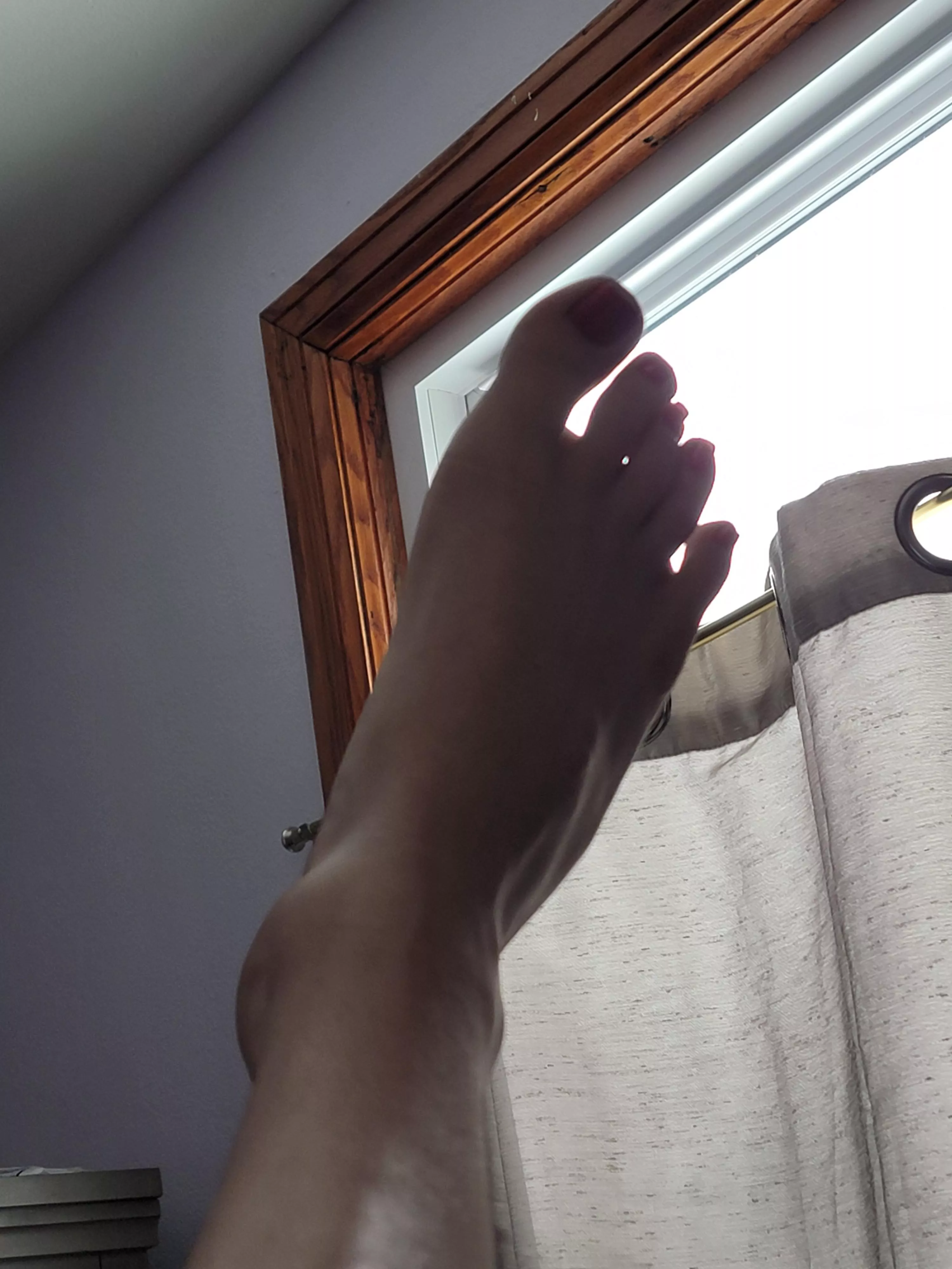 Do these morning kitty toes excite you? ❤️ posted by catasticNya