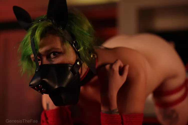 Do you want to see a shibari puppy get hooked? by GenesisTheFae