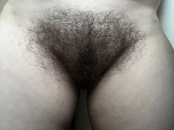 Fresh-from-the-shower bush ;P by MissPeak