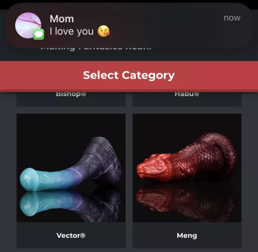 It’s between these two… what do you all think? by ItzSurgeBruh