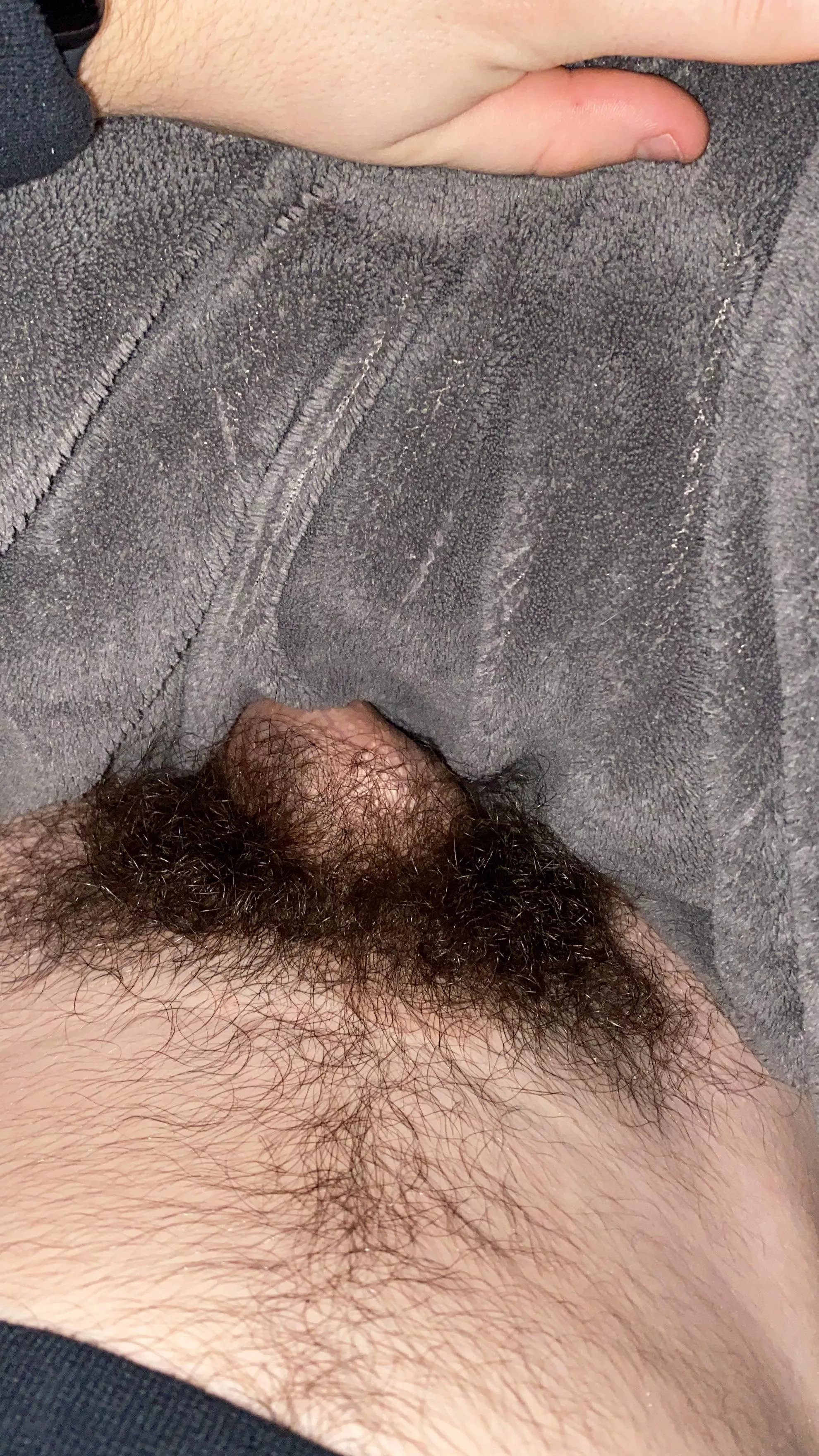 Men should keep their pubes (18) posted by Uncuthairylover