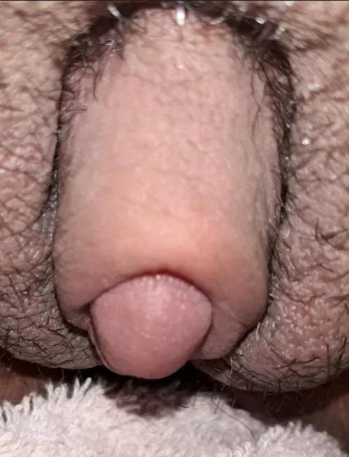 mi Big clit. suck it😋🥵🔥 by Nikii_SeXXX