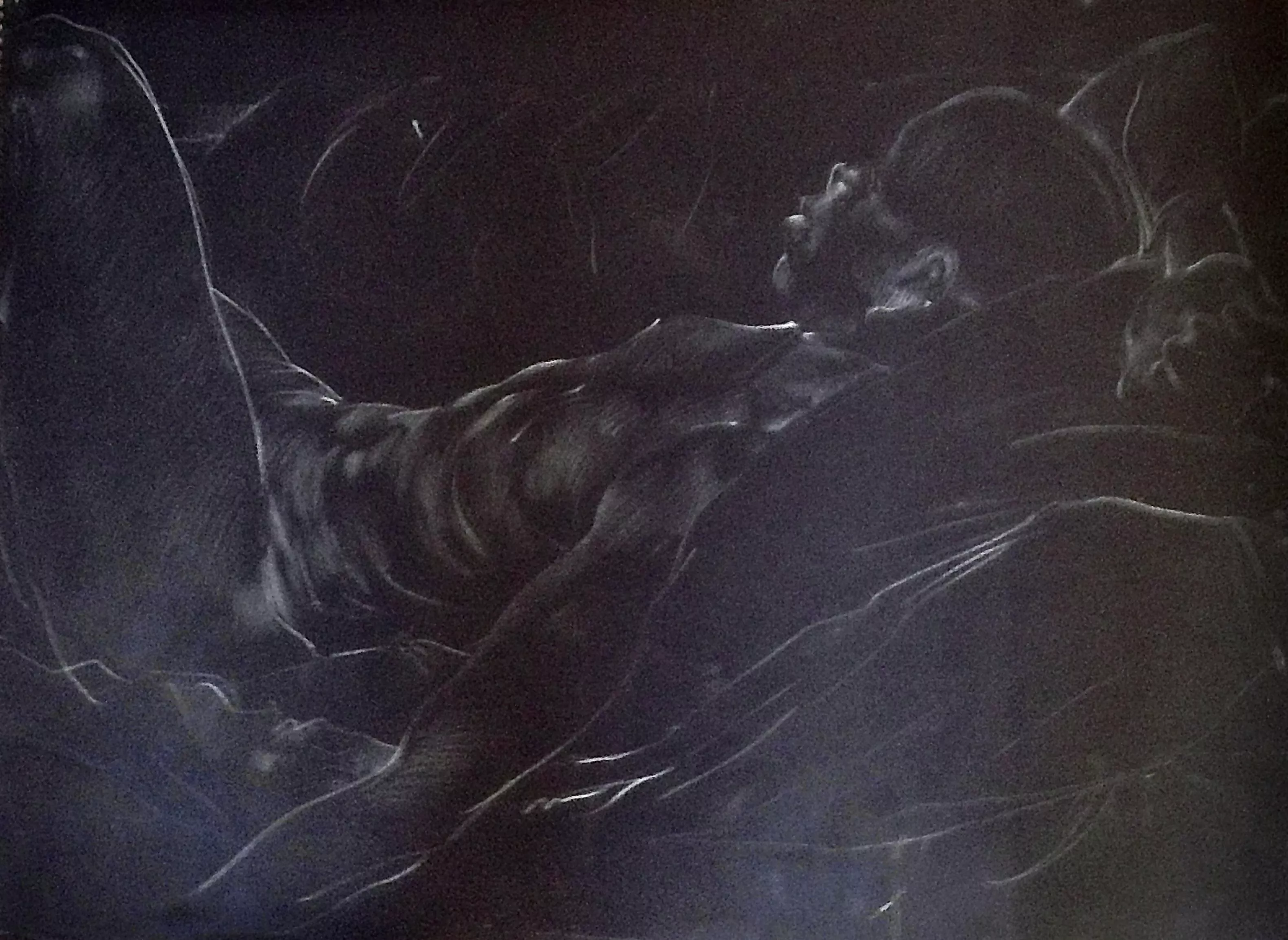 ‘Sunday Supine’ conte’ pencil on paper posted by TroutforPrez