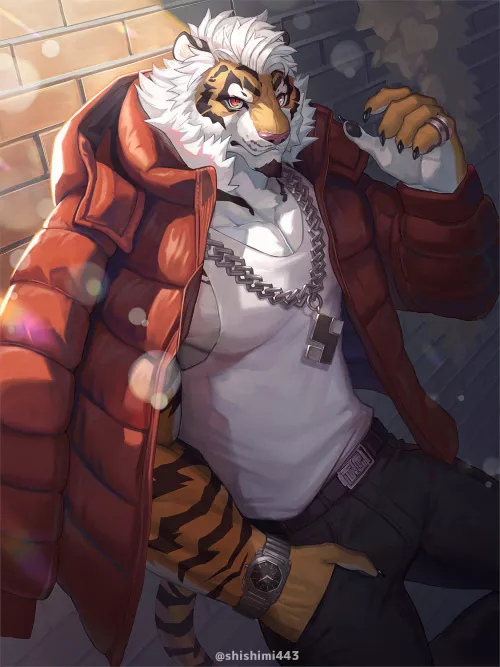 Tiger in the alley by Jaxtnt780