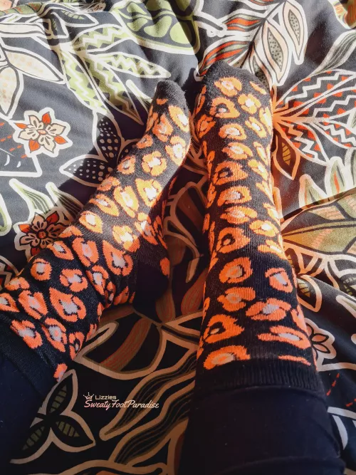 Tootsies in the sun 😏 [F] by maggy-88