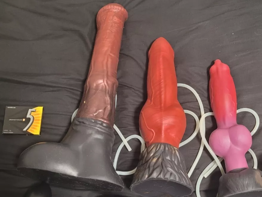 What do you guys think of my collection?(XL, XL, L and yes, I can take them all with some warm-up 😄) posted by CallTripleZero